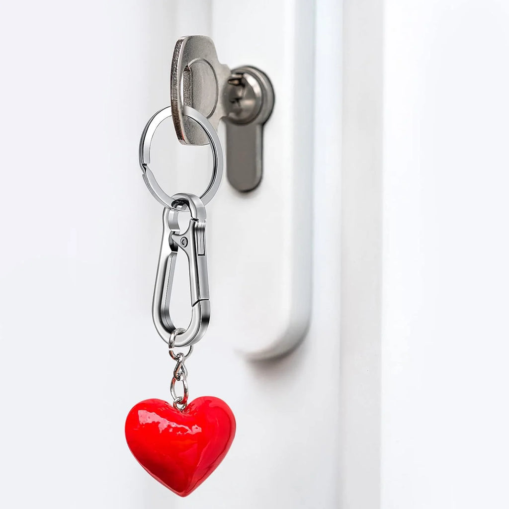 MetaLink™ Carabiner Keychain Set (x4)