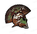 IronPhalanx™ Spartan Helmet Patch
