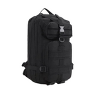 IronRidge™ Pack – L’Instinct Nomade 30L